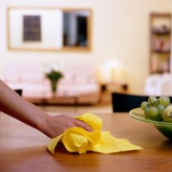 Tenancy Cleaner